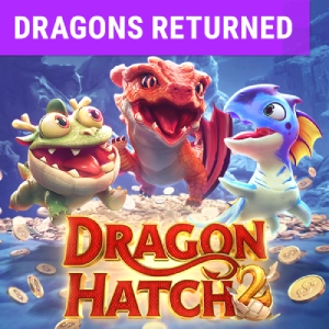 dragon hatch 2 8day